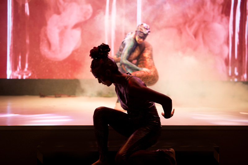 Künstler mit Bodypainting treten auf einer Bühne mit rotem, nebelverhülltem Hintergrund auf. Eine Person kniet im Vordergrund, während eine weitere im Hintergrund eine dynamische Pose einnimmt.