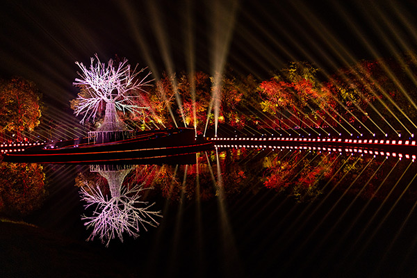 Farbvoll beleuchtete Outdoor-Installation mit einem leuchtenden Baum in der Mitte, umgeben von bunten Lichtstrahlen und Spiegelung im Wasser.