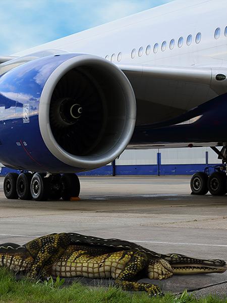 Illusion mit Bodypainting: Vor einem großen Flugzeug von British Airways liegt scheinbar ein Krokodil auf dem Rollfeld. Bei näherem Hinsehen erkennt man, dass es sich um einen bemalten menschlichen Körper handelt, der perfekt in die Szene integriert ist.