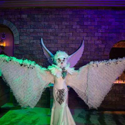 Photo Alex Barendregt Img 6603