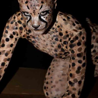 Wb Team India 125 Von 60